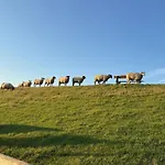 Graugans Lägenhet *