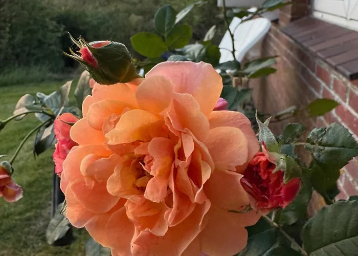 Graugans Apartamento Pellworm