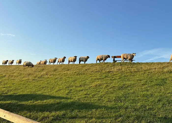 Graugans Apartamento *